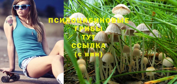 амф Абинск